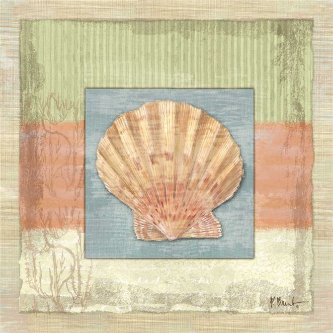 Montego Scallop - Cuadrostock