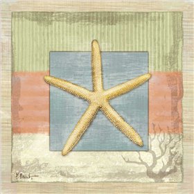 Montego Starfish