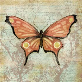 Vintage Butterflies I - Cuadrostock
