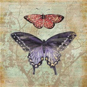 Vintage Butterflies IV - Cuadrostock