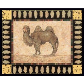 Camel - Cuadrostock
