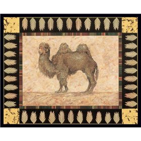 Camel