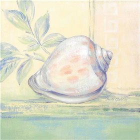 Tranquil Seashells I