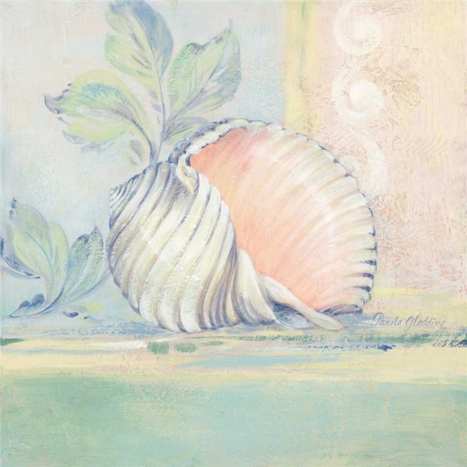Tranquil Seashells II