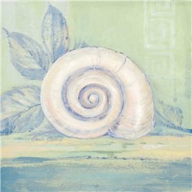 Tranquil Seashell III - Cuadrostock