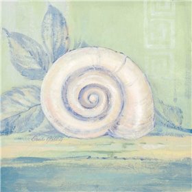 Tranquil Seashell III