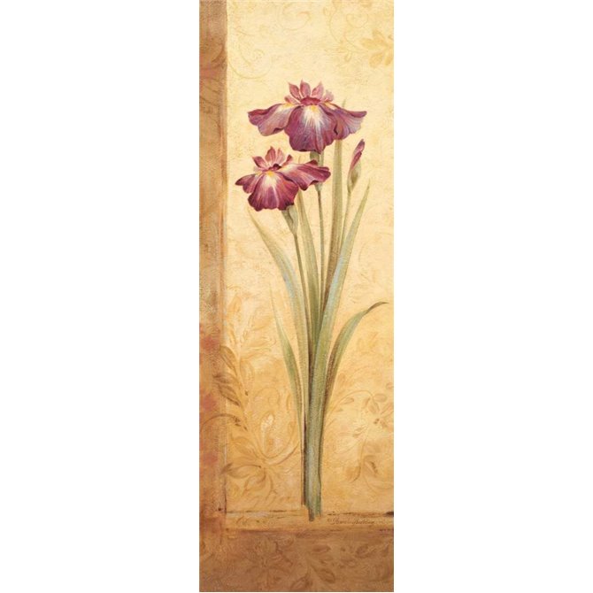Grandiflora I