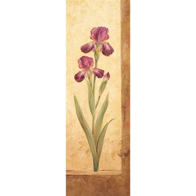 Grandiflora II