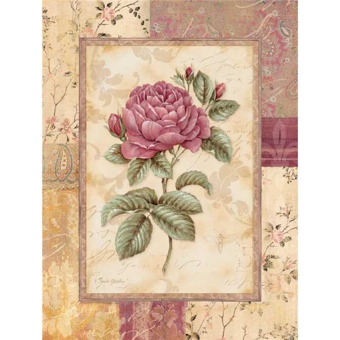 Provence Rose I