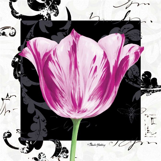 Damask Tulip I - Cuadrostock