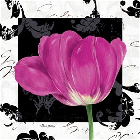 Damask Tulip II - Cuadrostock