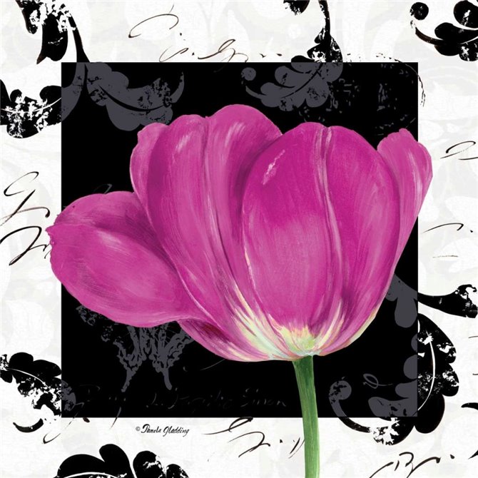 Damask Tulip II - Cuadrostock