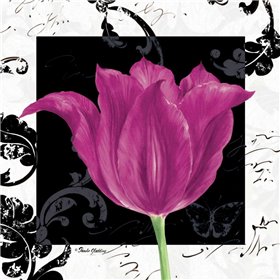 Damask Tulip IV - Cuadrostock