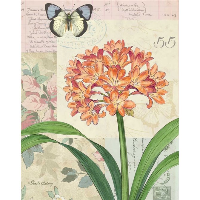Clivia Floral Collage