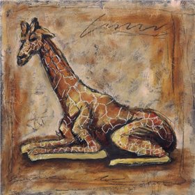 Safari Giraffe - Cuadrostock