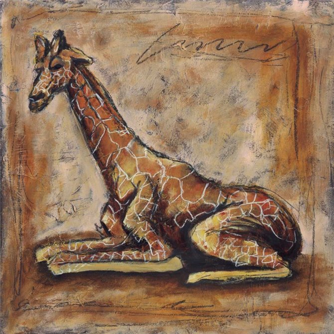 Safari Giraffe - Cuadrostock