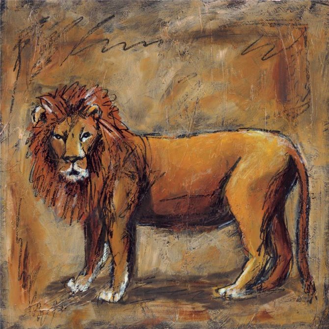 Safari Lion - Cuadrostock