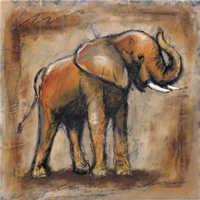 Safari Elephant - Cuadrostock