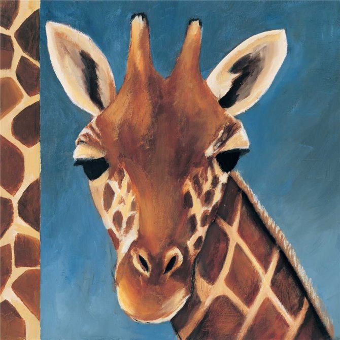 Exotic Giraffe - Cuadrostock