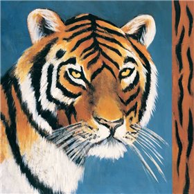 Exotic Tiger - Cuadrostock