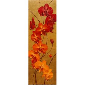 Golden Orchids I - Cuadrostock