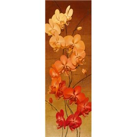 Golden Orchids II - Cuadrostock