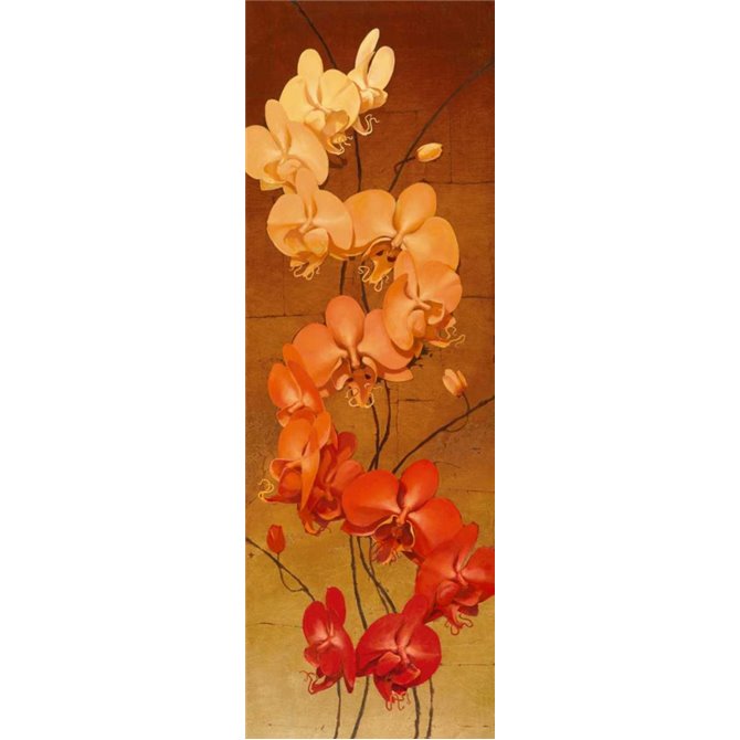 Golden Orchids II - Cuadrostock