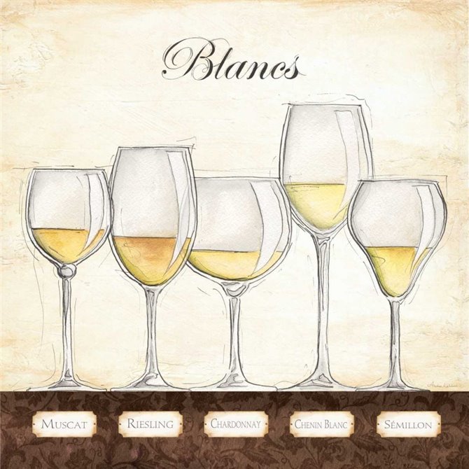 Les Vins Blancs - Cuadrostock