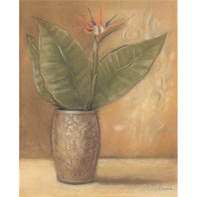 Global Pots II