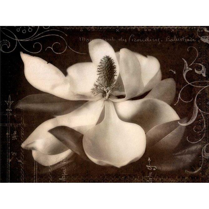 Garden Journal I