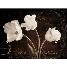 Garden Love Letter II