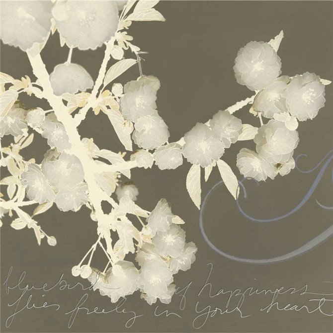 Wishes and Leaves II