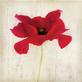 Red I