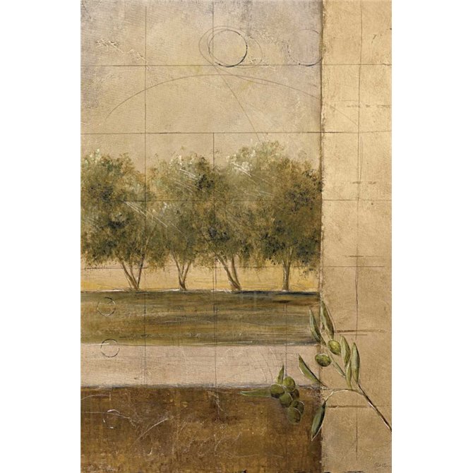 Olive Groves II - Cuadrostock