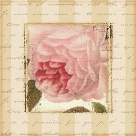 Rose and Romance II - Cuadrostock