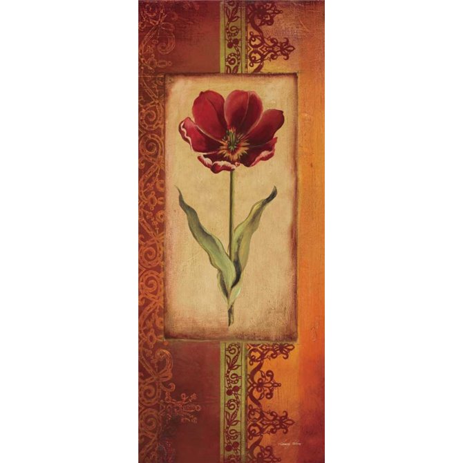 Mediterranean Tulip I