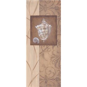 Sand Shell I