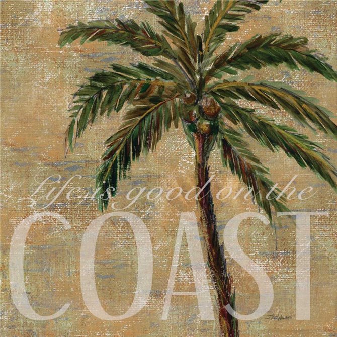 Coastal Palm - Cuadrostock