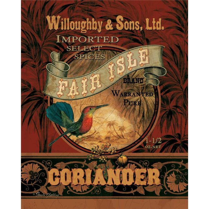 Coriander