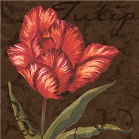 Tulipa I - Cuadrostock