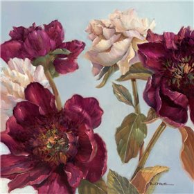 Peony - Cuadrostock