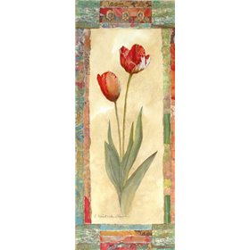 Tulip Montage
