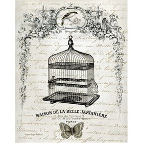 French Birdcage II - Cuadrostock