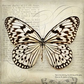 Butterflies Script III