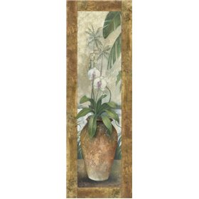 Orchids in Paradise II