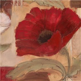 Amapola Roja IV