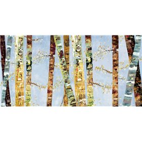 Bark Abstract