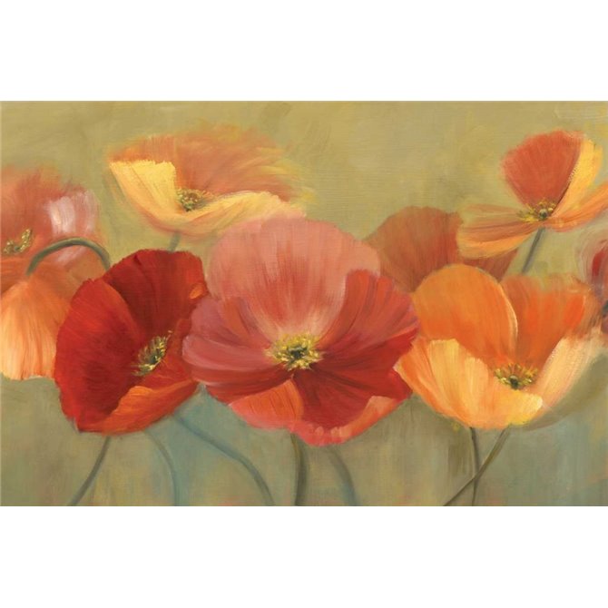 Summer Poppies - Cuadrostock