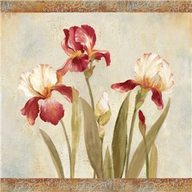 Iris Tapestry II - Cuadrostock