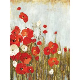 Poppies in the Wind - Cuadrostock